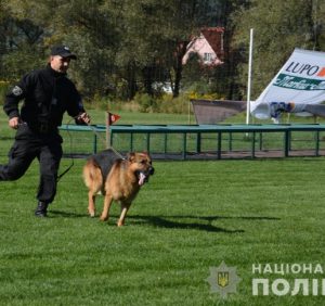Поліція Закарпаття запрошує на роботу чотирьох кінологів