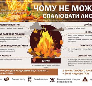 Ужгородців штрафуватимуть за спалювання листя і сухої трави