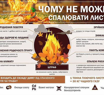 Ужгородців штрафуватимуть за спалювання листя і сухої трави