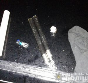 Закарпатська поліція вилучила у водія “екзотичну” зброю