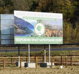 Чудову можливість перевести дух від подорожі, дарують лісівники Свалявщини (ВІДЕО)