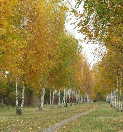 11 жовтня: це цікаво знати