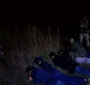 Групу нелегалів затримали прикордонники на Закарпатті
