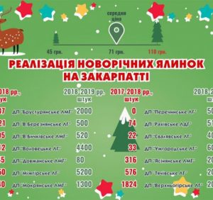 Стала відома вартість новорічних ялинок для закарпатців (ІНФОГРАФІКА)
