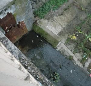 В центрі Мукачева з’явилася фекальна річка (фото)