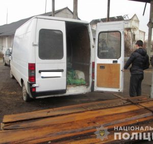 Поліцейські у Мукачеві викрили місцевих чоловіків на крадіжці деревини  з приватного підприємства