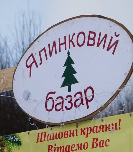 На Закарпатті визначено місця продажу «законослухняних» ялинок