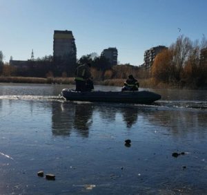В Ужгороді працівники ДСНС рятували лебедів із льодяної пастки