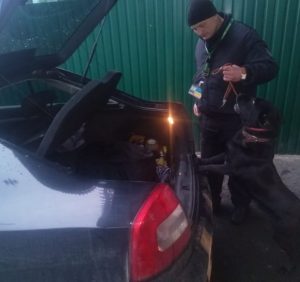 Службовий пес-прикордонник виявив в авто українця зброю (Фото)