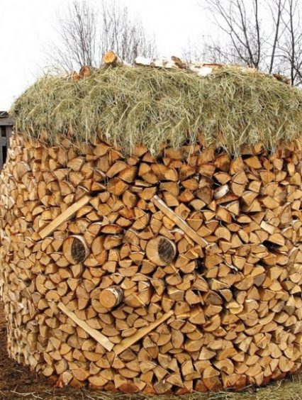 Лісівники Закарпаття нагадують про пільги на дрова