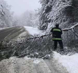 Через деревопад знеструмлено 35 сіл у трьох районах Закарпаття