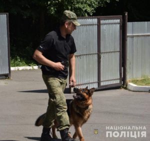 Закарпатська поліція запрошує на роботу в кінологічну службу