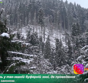 Лісівники Рахівщини розчищають наслідки нищівних вітровалів (ВІДЕО)