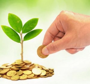 Платники Закарпаття сплатили понад 3,5 млн грн екологічного податку