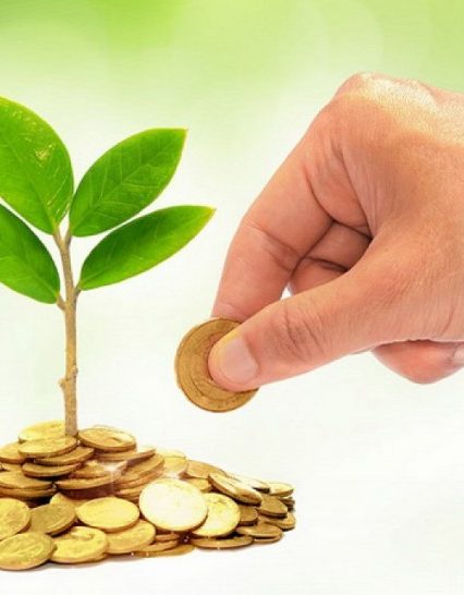 Закарпатські податківці поінформували платників щодо актуальних питань оподаткування