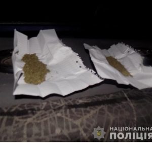 На Перечинщині в автомобілі водія-порушника поліція виявила наркотики