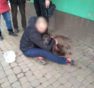 У центрі Ужгорода патрульні знайшли собаку з численними ножовими пораненнями (фото, відео)
