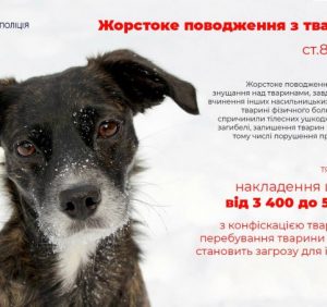 У Мукачеві патрульні склали протокол на чоловіка, який знущався з власної собаки