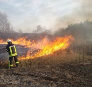 Закарпатцям коронавірусу замало – підпалили траву, а з нею і ліс (фото, відео)