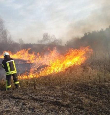 Рятувальники закликають не палити суху рослинність (фото)