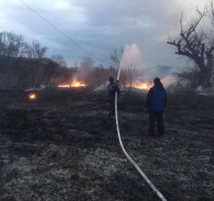 Закарпатські екосистеми у вогні. Рятувальники застерігають не провокувати пожежі!