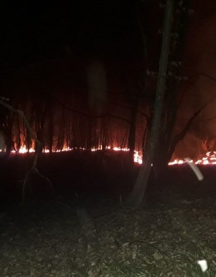 Перечинські лісівники обмежують доступ до лісового фонду під час пожежонебезпечного періоду