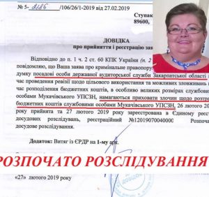 Закарпатський держаудитор готується до допитів (документ)