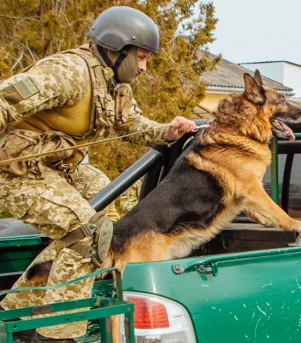 Закарпаття контрабандне: до краю прибули резерви прикордонників, військової техніки і службові собаки