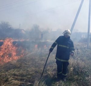 Підрозділи ДСНС спільно з лісниками ліквідували пожежу на території Ужгородського військового лісництва