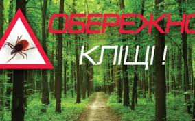 Як вберегтися від кліщів і не підчепити інфекцію: важливі поради