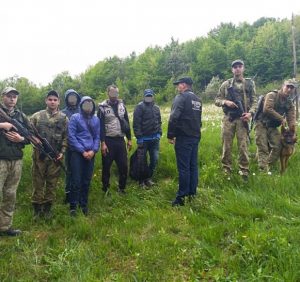 Три групи нелегалів та їхніх провідників затримала учора міжвідомча група прикордонників та поліції Закарпаття