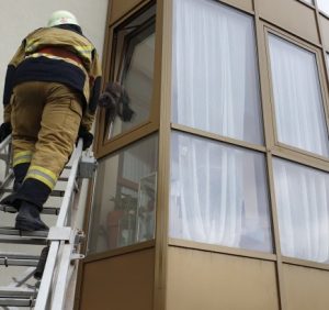 Ужгородський вінні-пух, або як рятувальники кота з халепи виручали (фото)