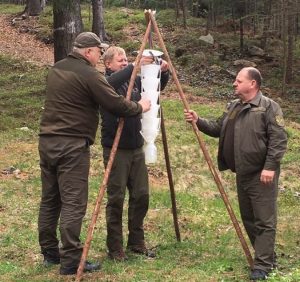 Лісівники Брустурянського ЛМГ борються із шкідниками