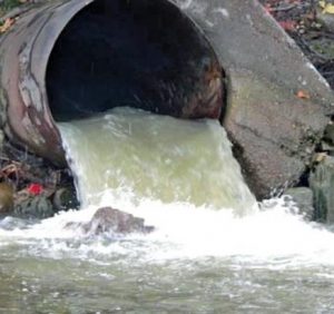 Сміття. Вода. Повітря. Влада Ужгорода неспроможна вирішити проблеми, які несуть загрозу громаді