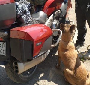 Вогнепальну зброю часів Другої світової війни виявили прикордонники у мотоциклі поляка (фото)