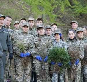 Шкільні лісництва Закарпаття: як вступити в ряди юних лісівників
