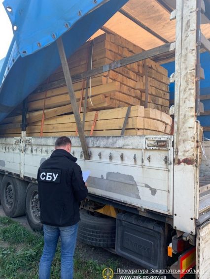 На Закарпатті прокуратура спільно з СБУ припинили схему незаконного вивезення деревини за кордон (ФОТО)