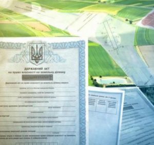 Цьогоріч державні кадастрові реєстратори Закарпатської області опрацювали понад 31 тисячу заяв