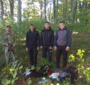 Групу молдован затримали прикордонники у Великоберезнському районі