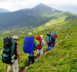 ТОП-10 похідних лайфхаків від свалявських лісівників
