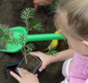 Лісівники Свалявщини вчать дітей піклуватися про флору і фауну