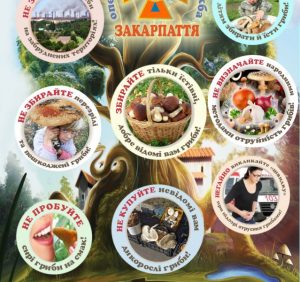 Грибна пора – правила безпеки на «тихому» полюванні