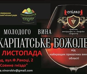 Ужгород запрошує на винний фестиваль “Закарпатське божоле”