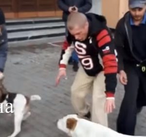 Порушення правил вигулу собак ледь не призвело до бійки (відео)