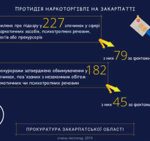 Результативне блокування наркоторгівлі в Закарпатті можливе виключно завдяки скоординованій співпраці правоохоронних і судових органів