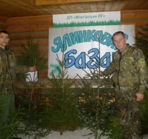 Міжгірські держлісгоспівці організували ялинкову ярмарку