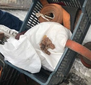 Угорець намагався вивезти бурштинову контрабанду за кордон