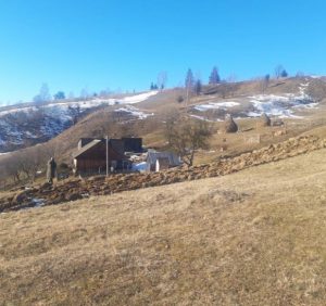 Вбивство подружжя на Рахівщині: поліція з’ясовує обставини