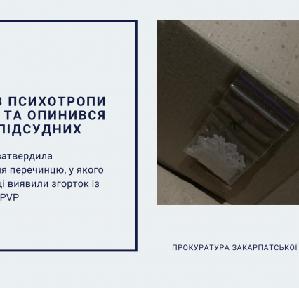 У Перечині прокуратура затвердила обвинувачення чоловіку, який по інтернету замовив особливо-небезпечний психотроп