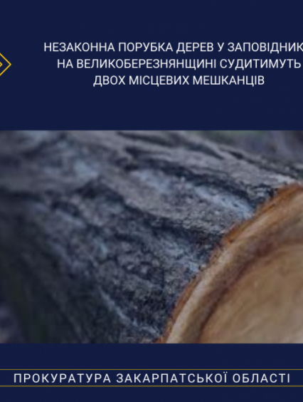 На Великоберезнянщині прокуратура скерувала до суду обвинувальні акти щодо незаконної порубки дерев у заповіднику